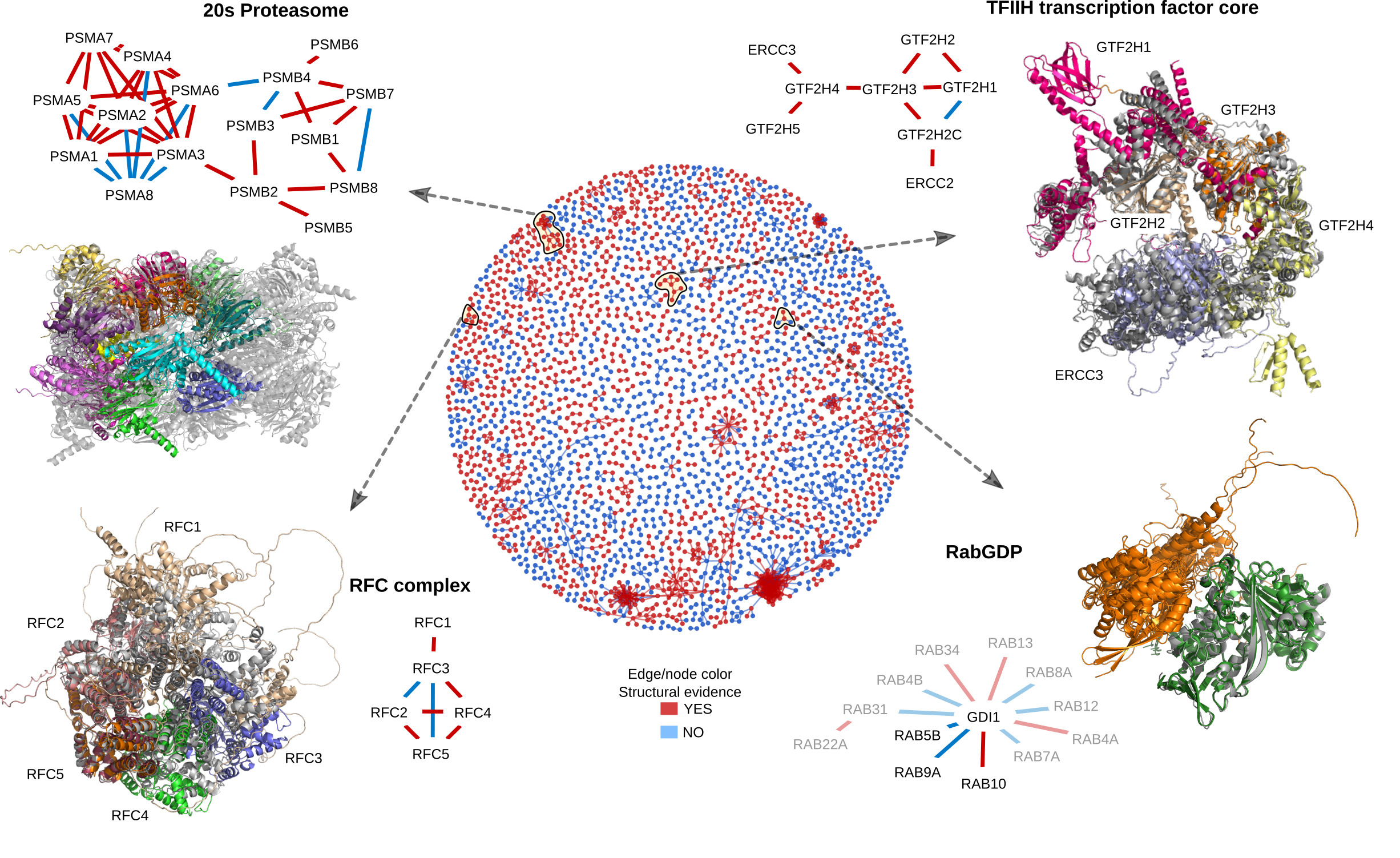 Proteoforms to complexes overview