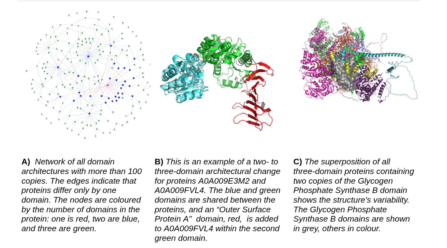 Examples of domain architecture evolution