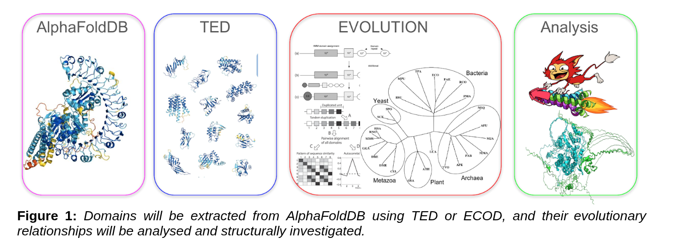 Overview of domain analysis with AlphaFoldDB and TED